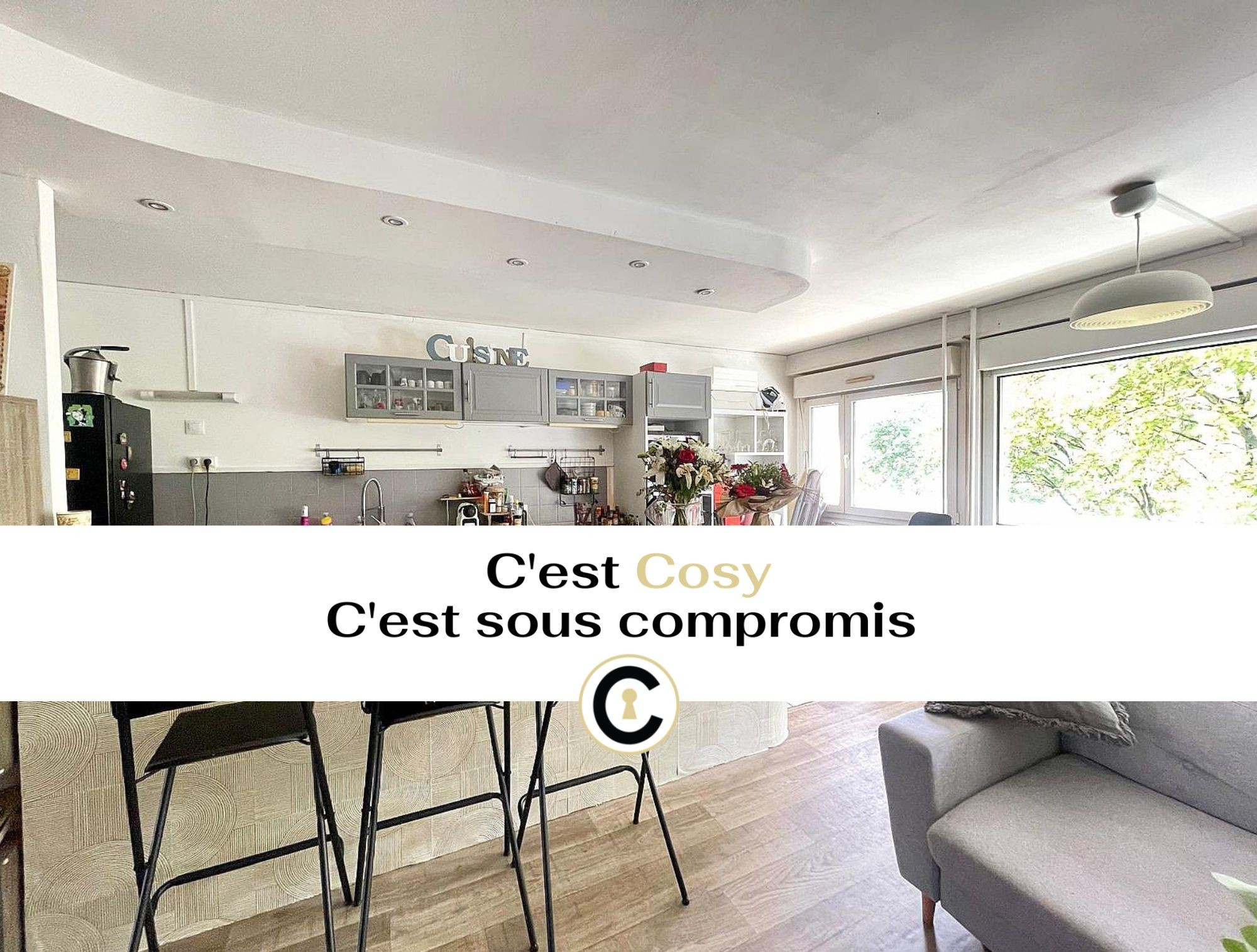 Agence immobilière de MOUSSY